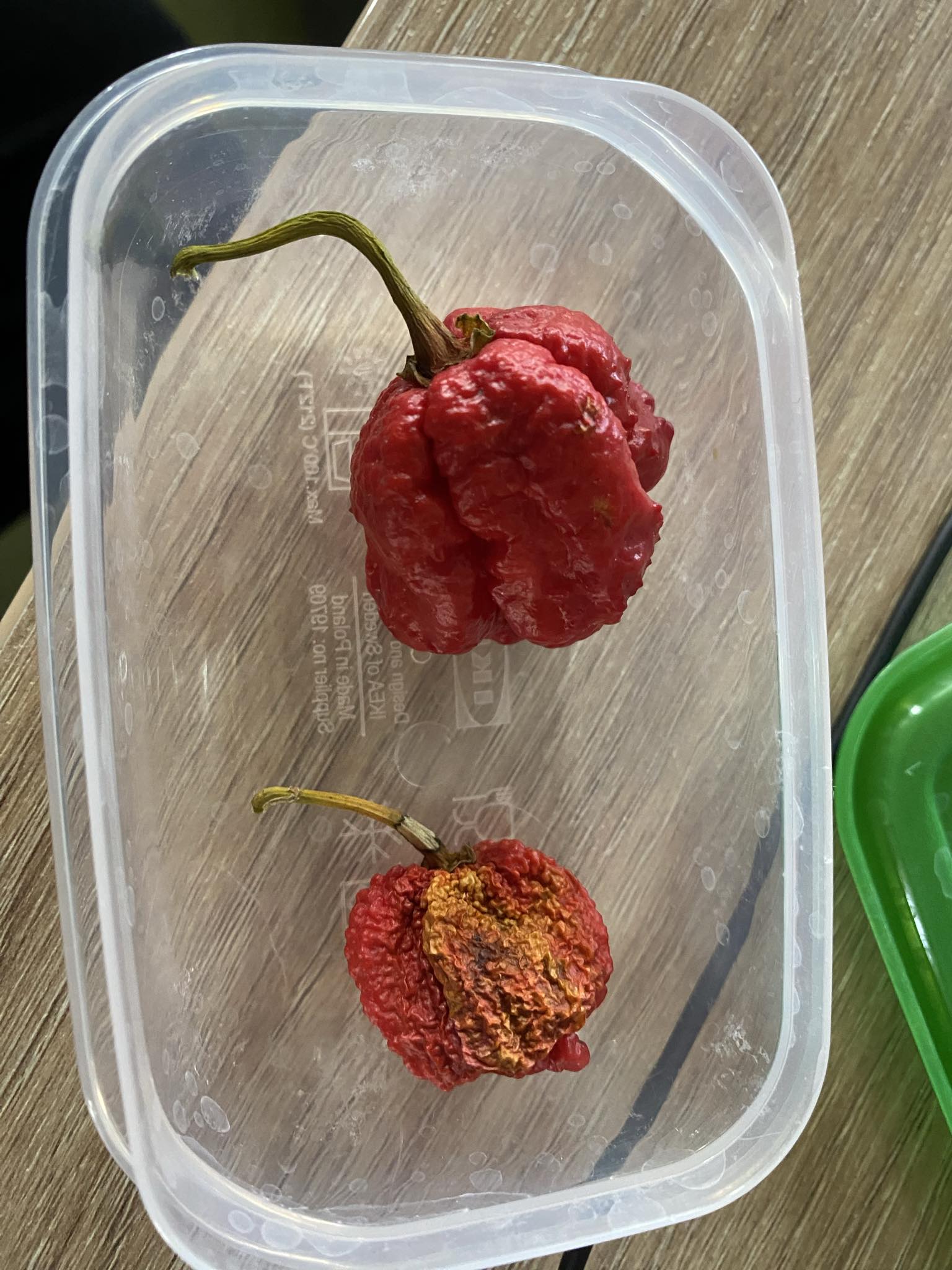 carolina_reaper_a_vilag_masodik_legerosebb_paprikaja.jpg