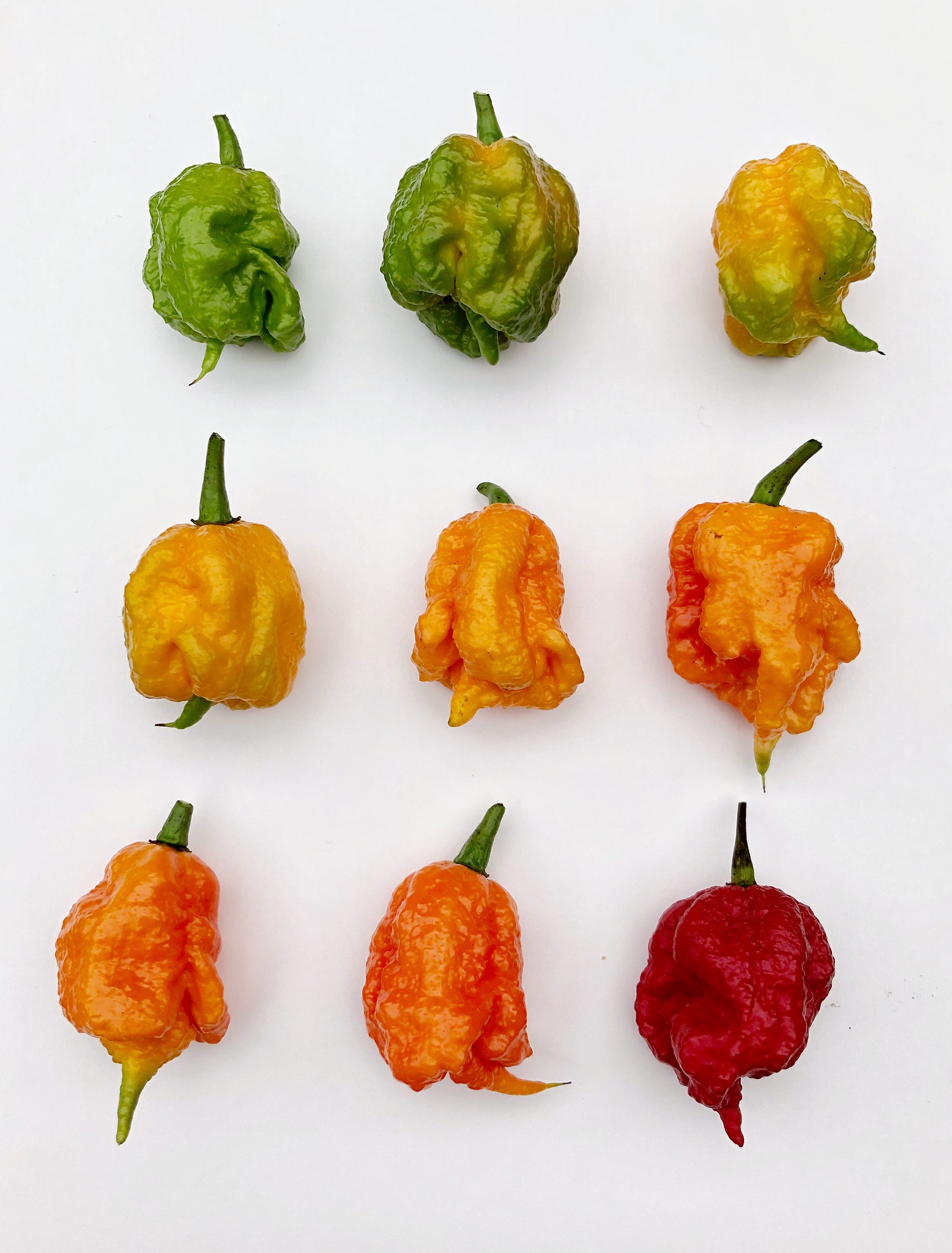 carolina_reaper_paprika_kulonbozo_szinben.jpg