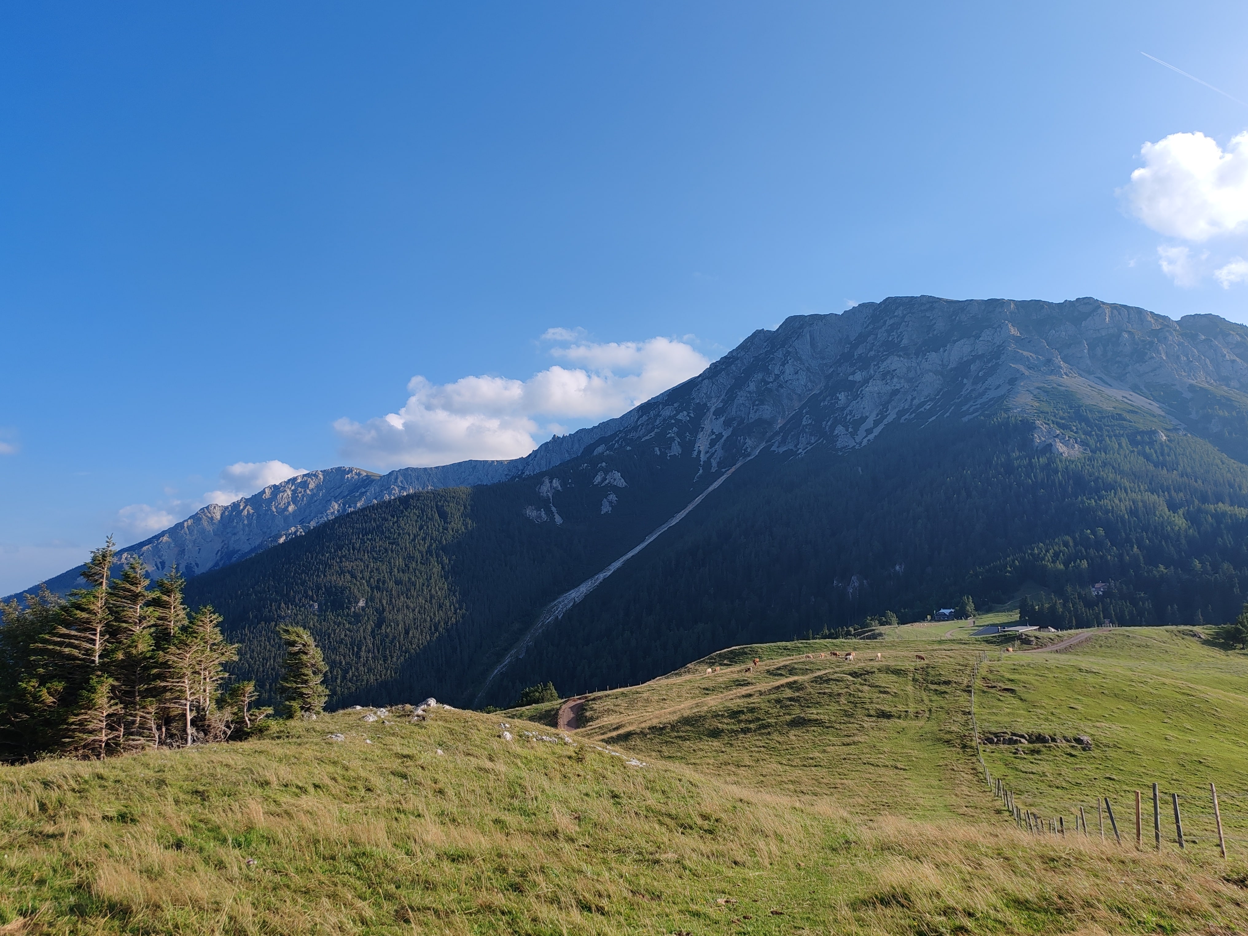 Kilátás a Schneebergre túrázás ausztriában
