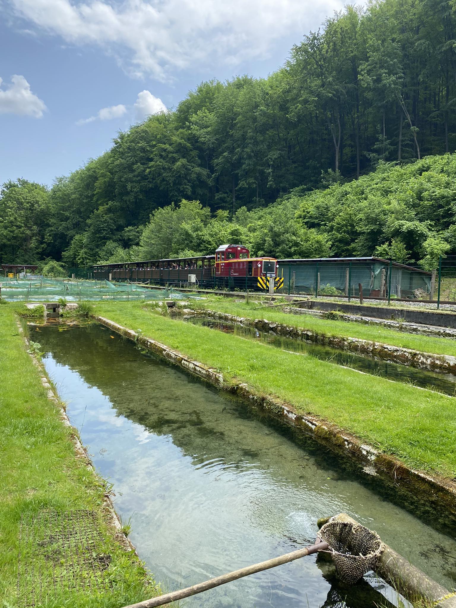 Lillafüredi Pisztrángtelep keltető