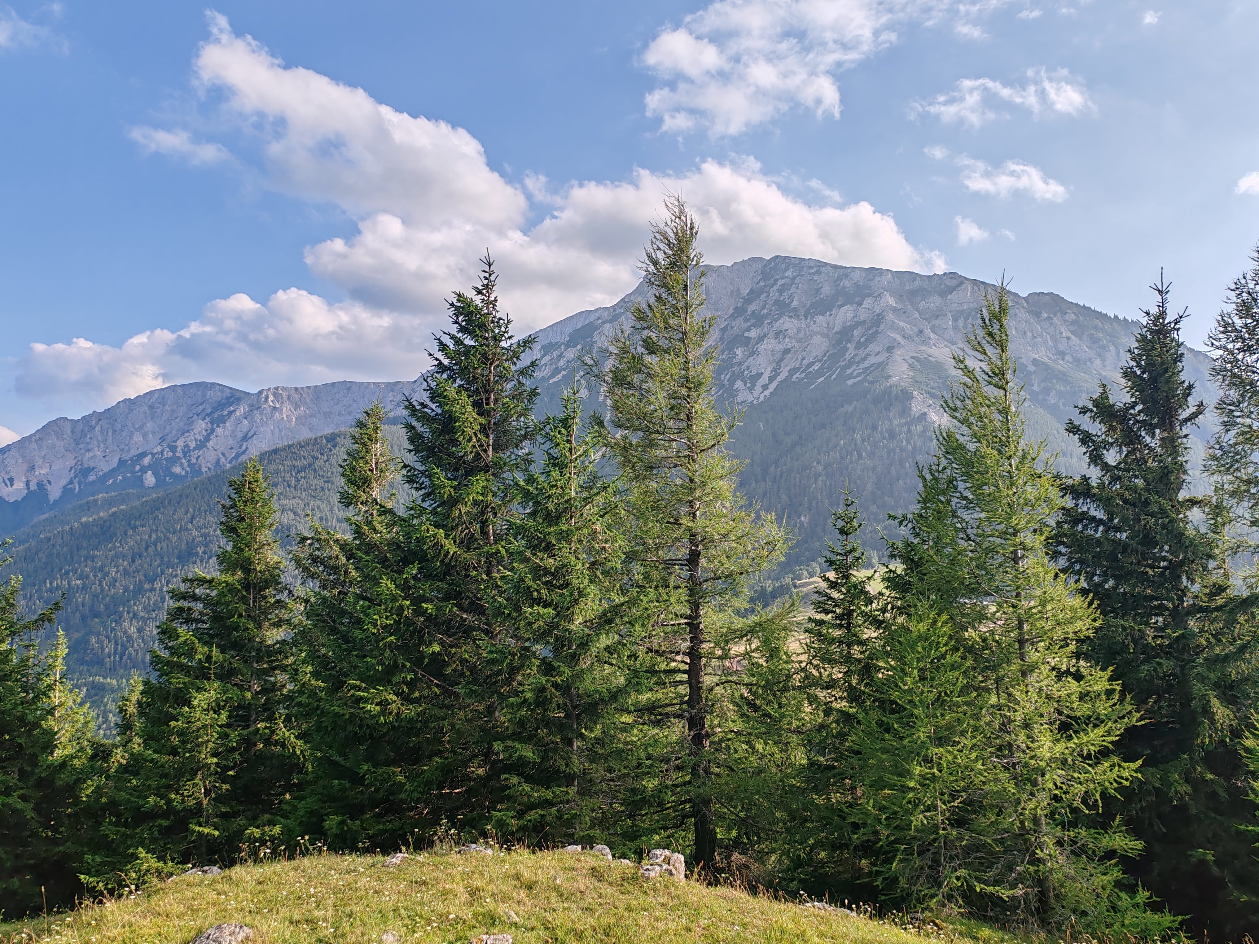 Schneeberg túra Ausztriában hegység