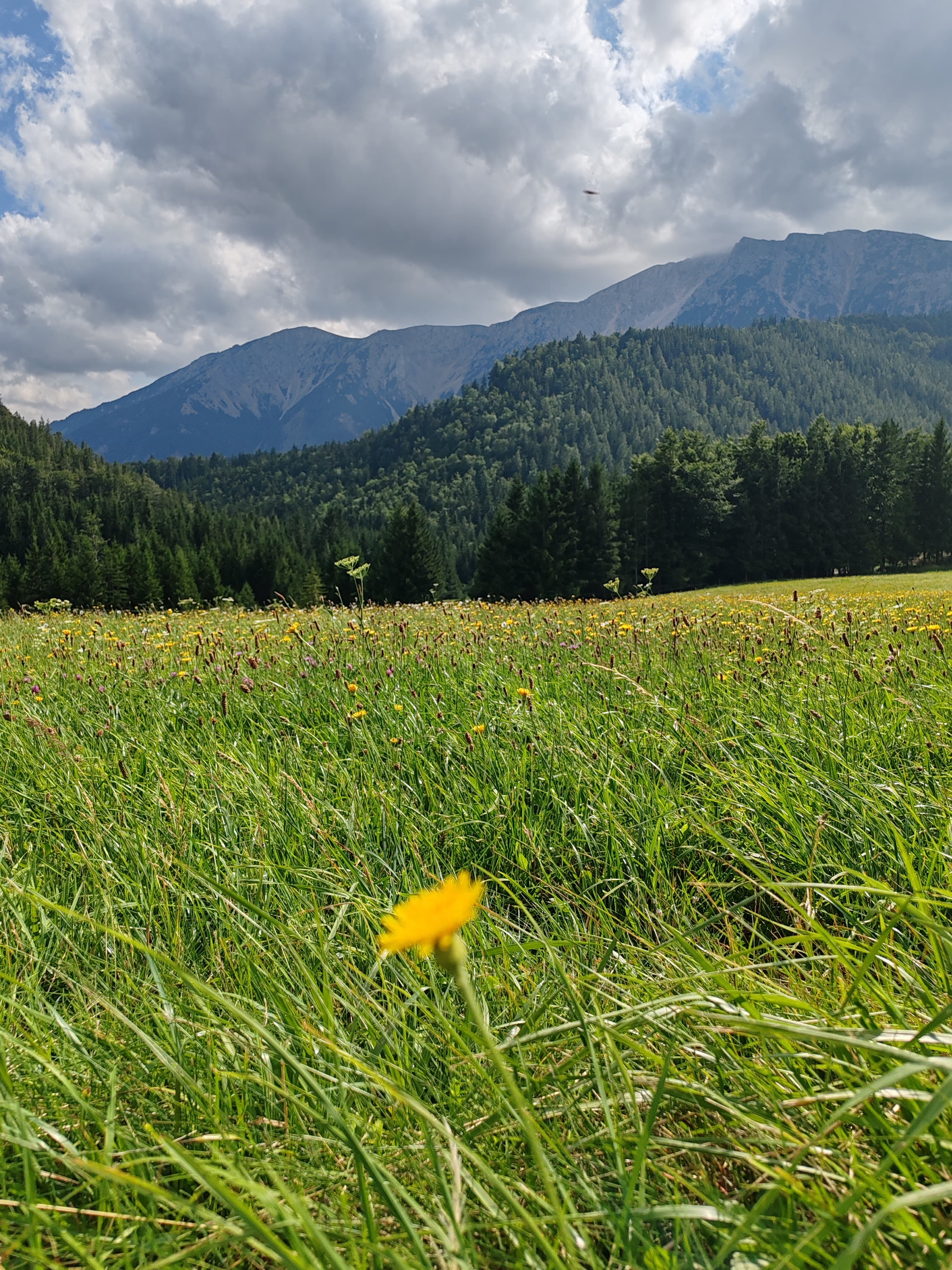 Túra a Schneeber lábánál Ausztriában