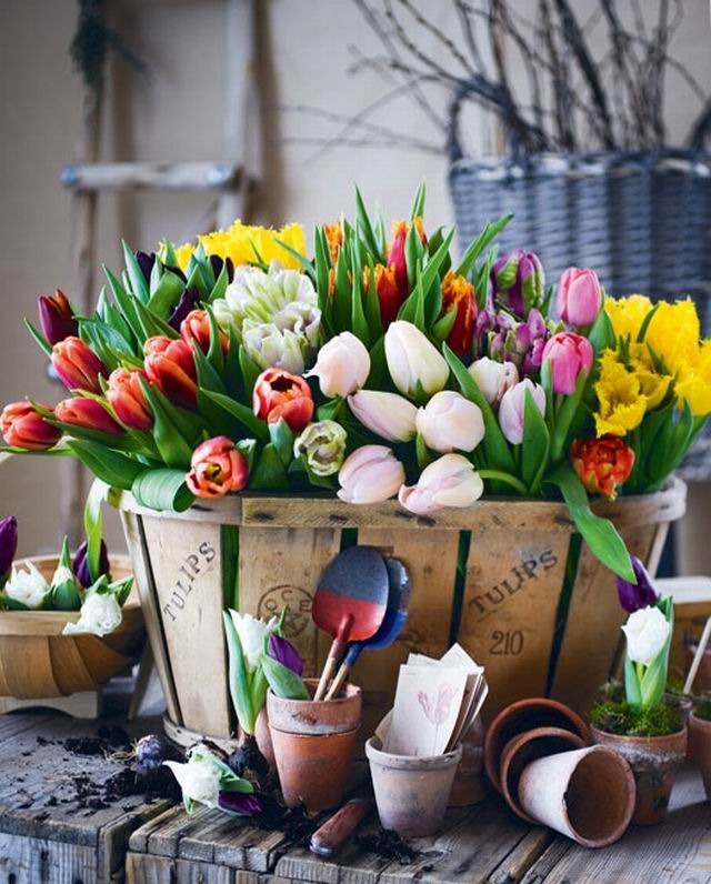 tulipánok.jpg