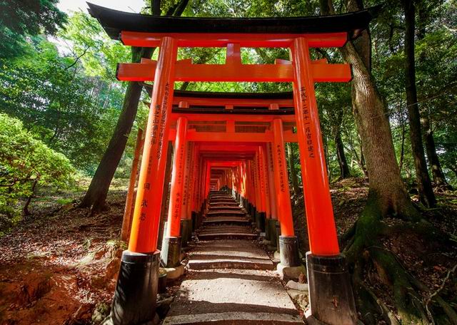 fushimiinari8.jpg