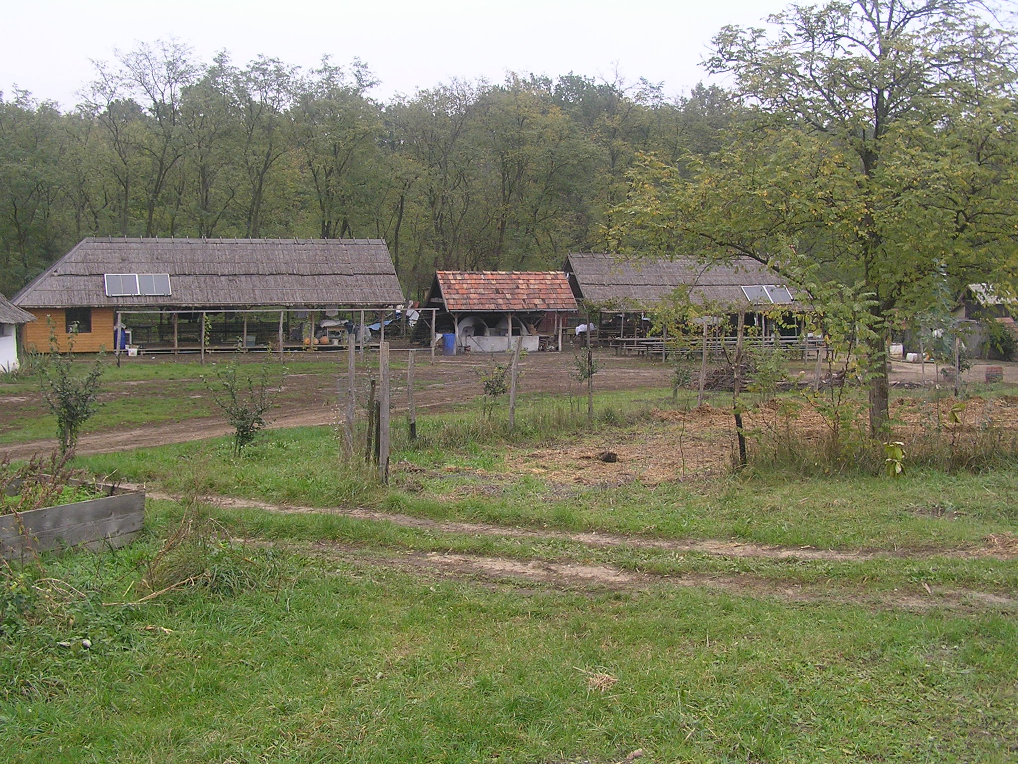 latogatas_magfalvan_2014_10_26_007.jpg