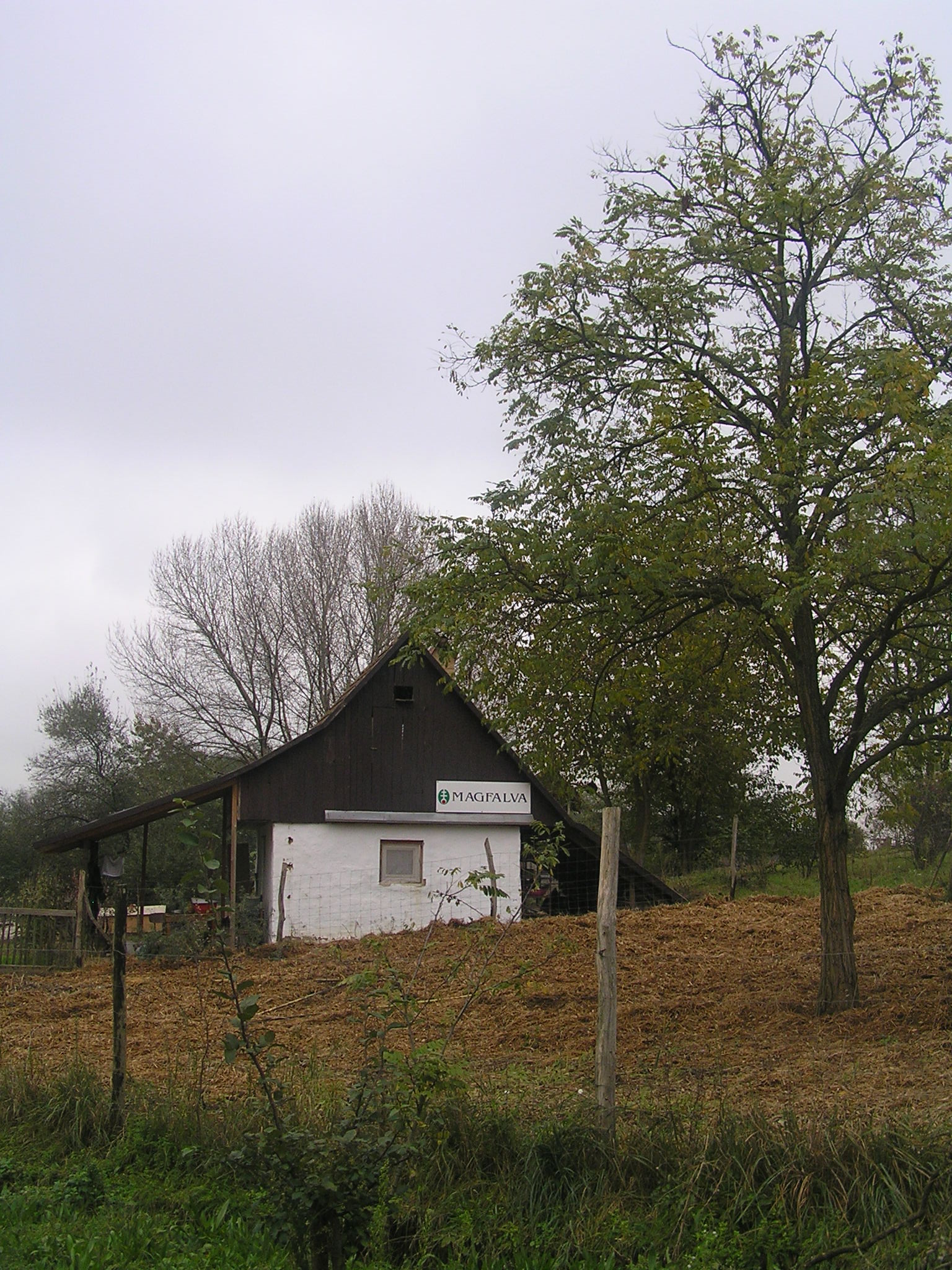 latogatas_magfalvan_2014_10_26_008.jpg