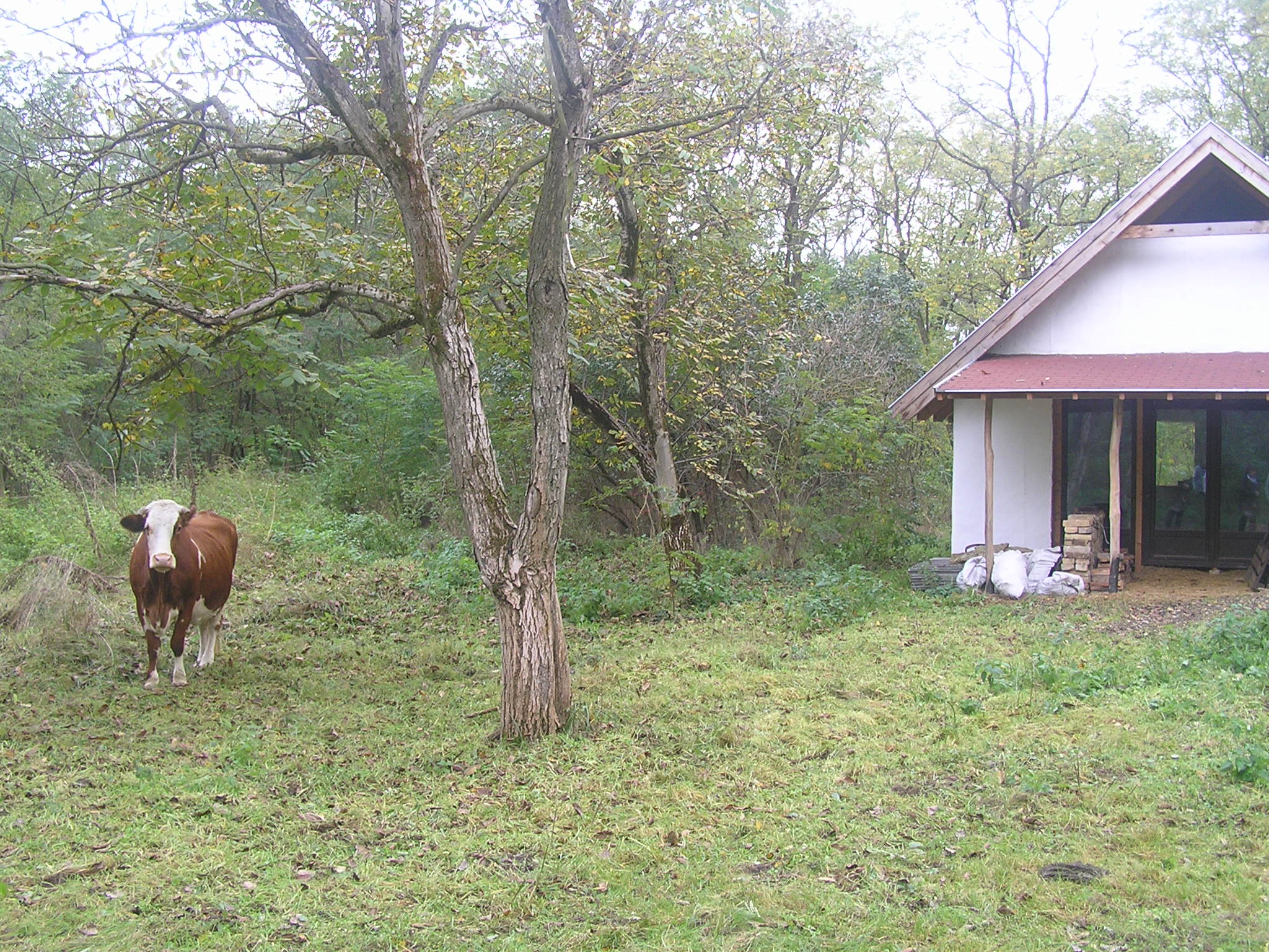 latogatas_magfalvan_2014_10_26_024.jpg