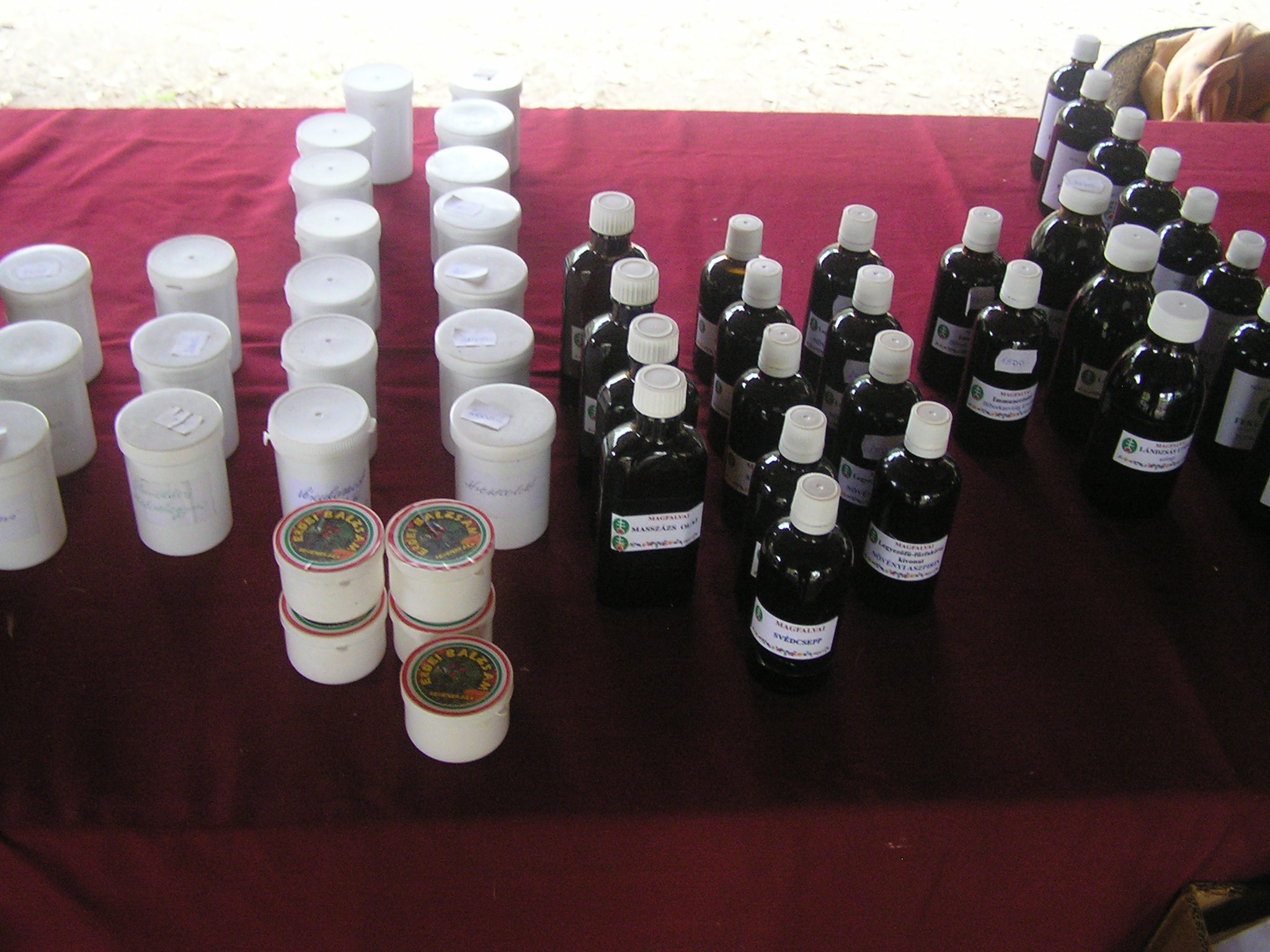 latogatas_magfalvan_2014_10_26_034.jpg