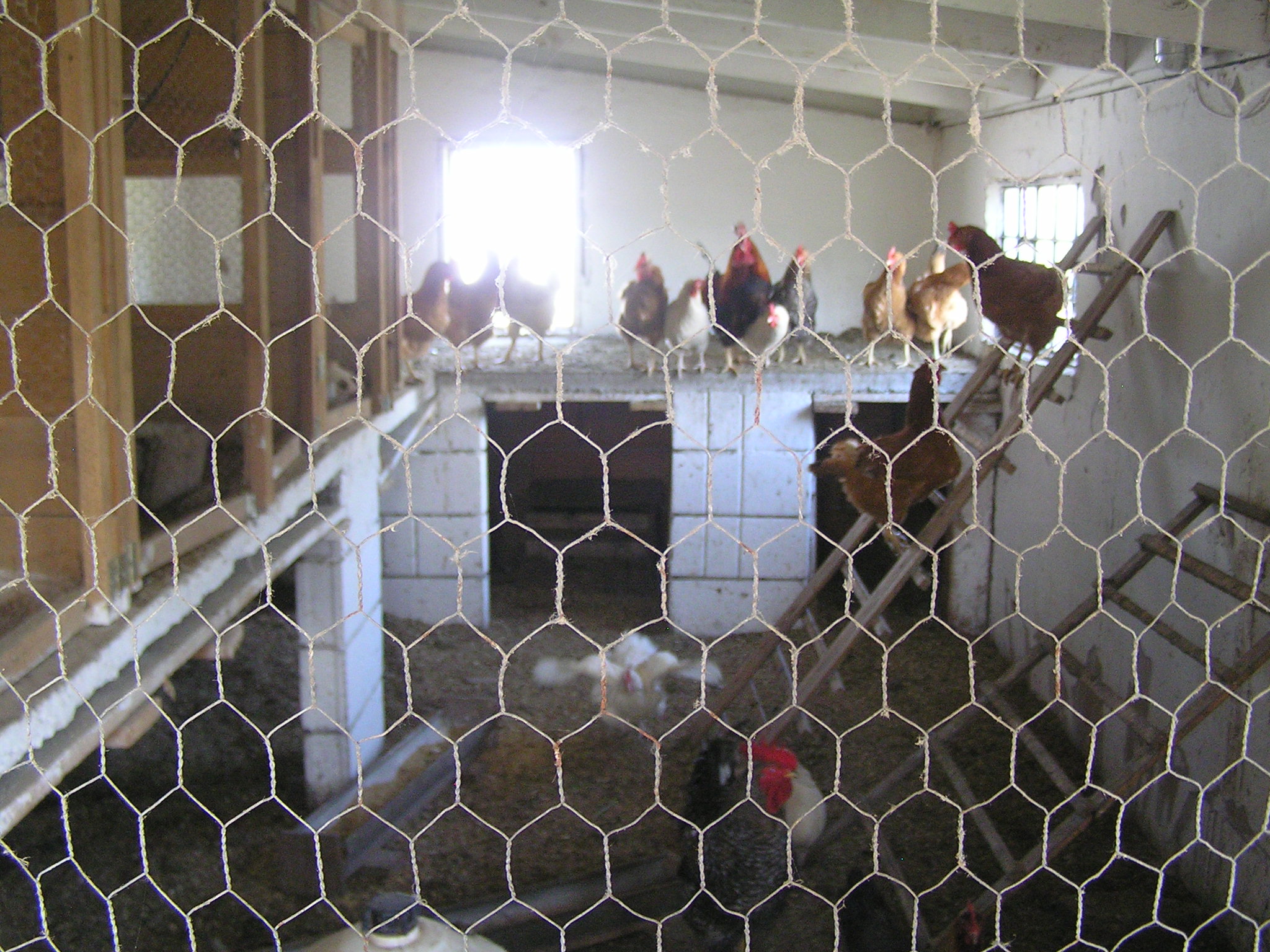 p1010110.JPG