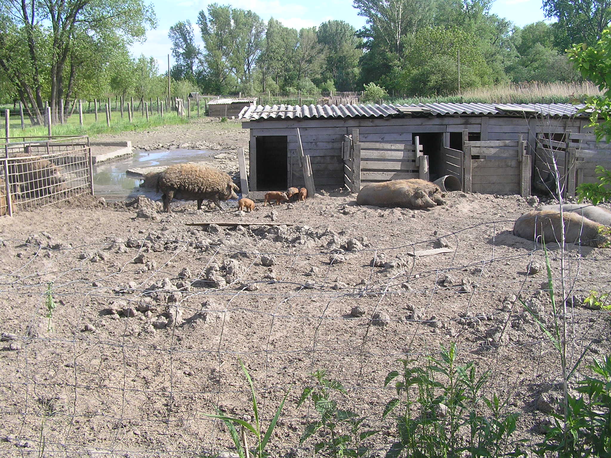 p1010112.JPG