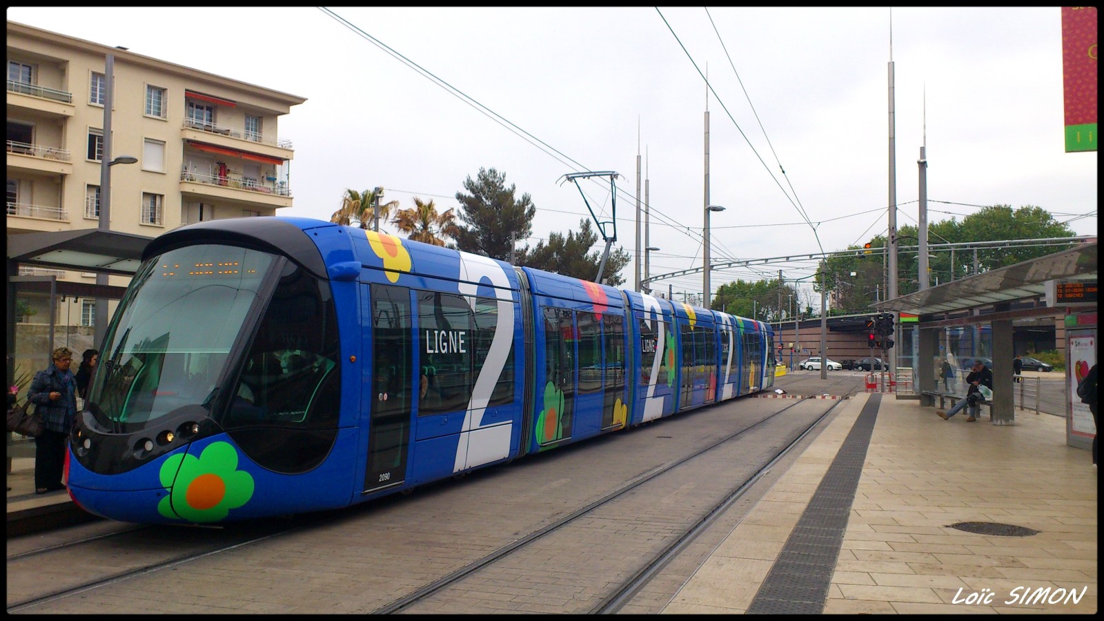 Tramway-Montpellier--Citadis-402-ligne-1-sur-ligne-2-livre.JPG