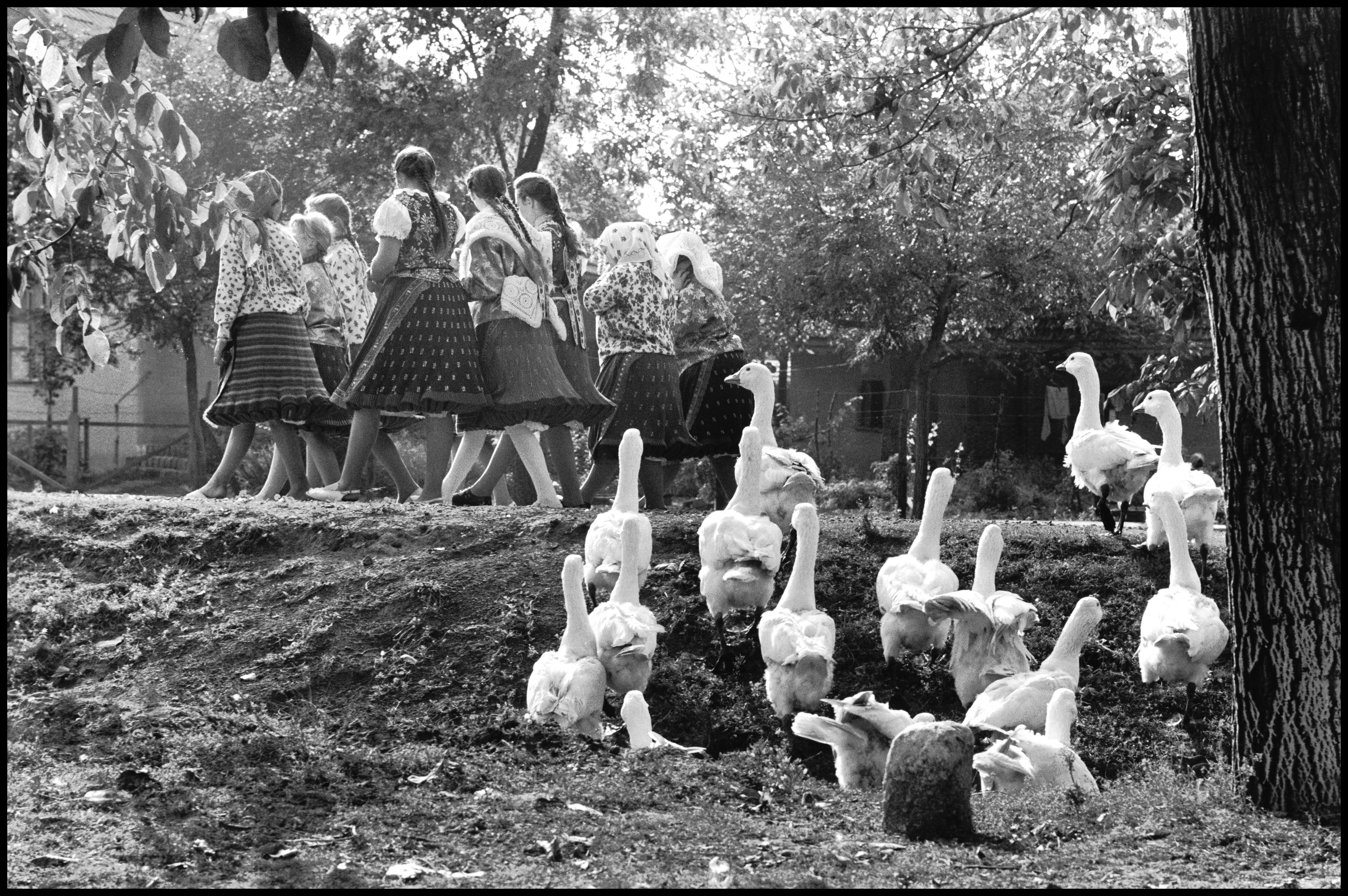 Magyarország, 1964 © Elliott Erwitt / Magnum Photos&lt;br /&gt;