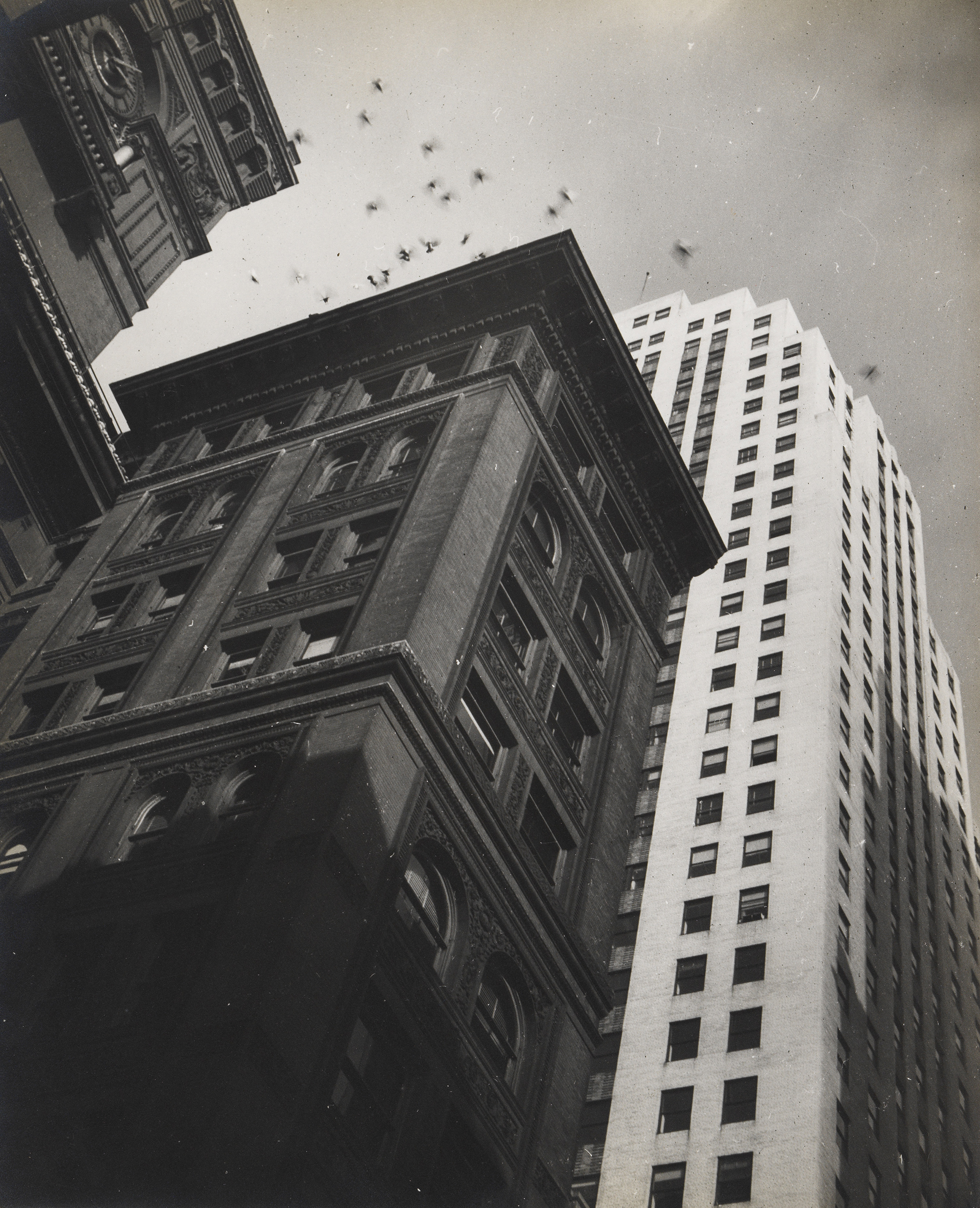 New York, 1940-es évek. Robert Haas © Wien Museum/Sammlung Robert Haas