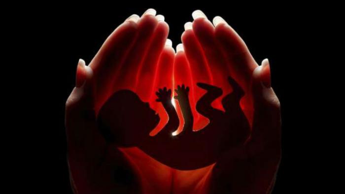 ilustrasi-aborsi1_20160531_095244.jpg