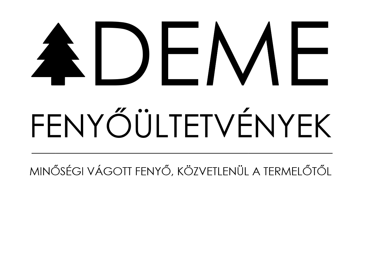 demefenyo_web_2023_1_1.png