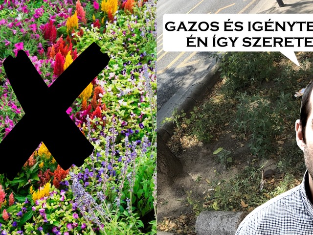 Újabb látleletet adott (ígéretei és munkája) jelentéktelenségéről az apró momentumos