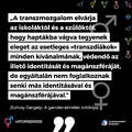 Kérdések a gender-ellenesekhez a transznemű diákok jogairól