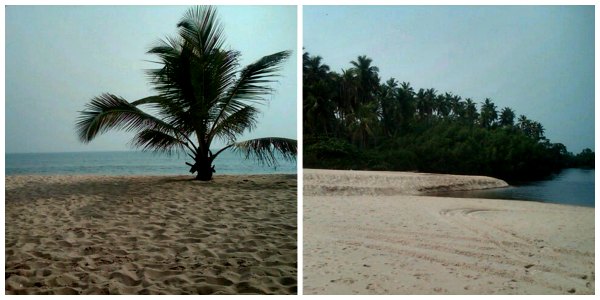tropicana collage.jpg