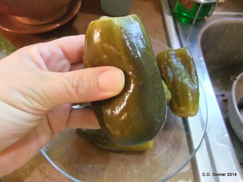 mushy_pickle.jpg