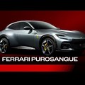 Introducing the new Ferrari Purosangue