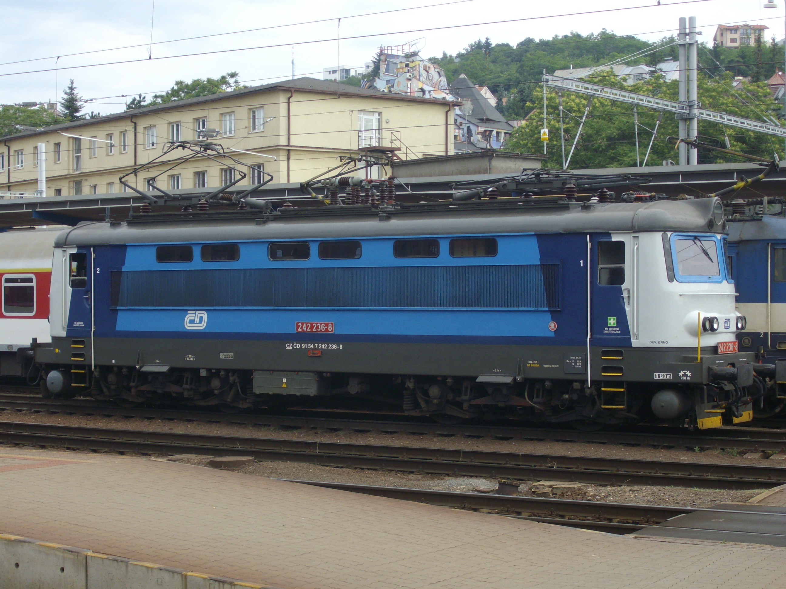 imgp4104.JPG