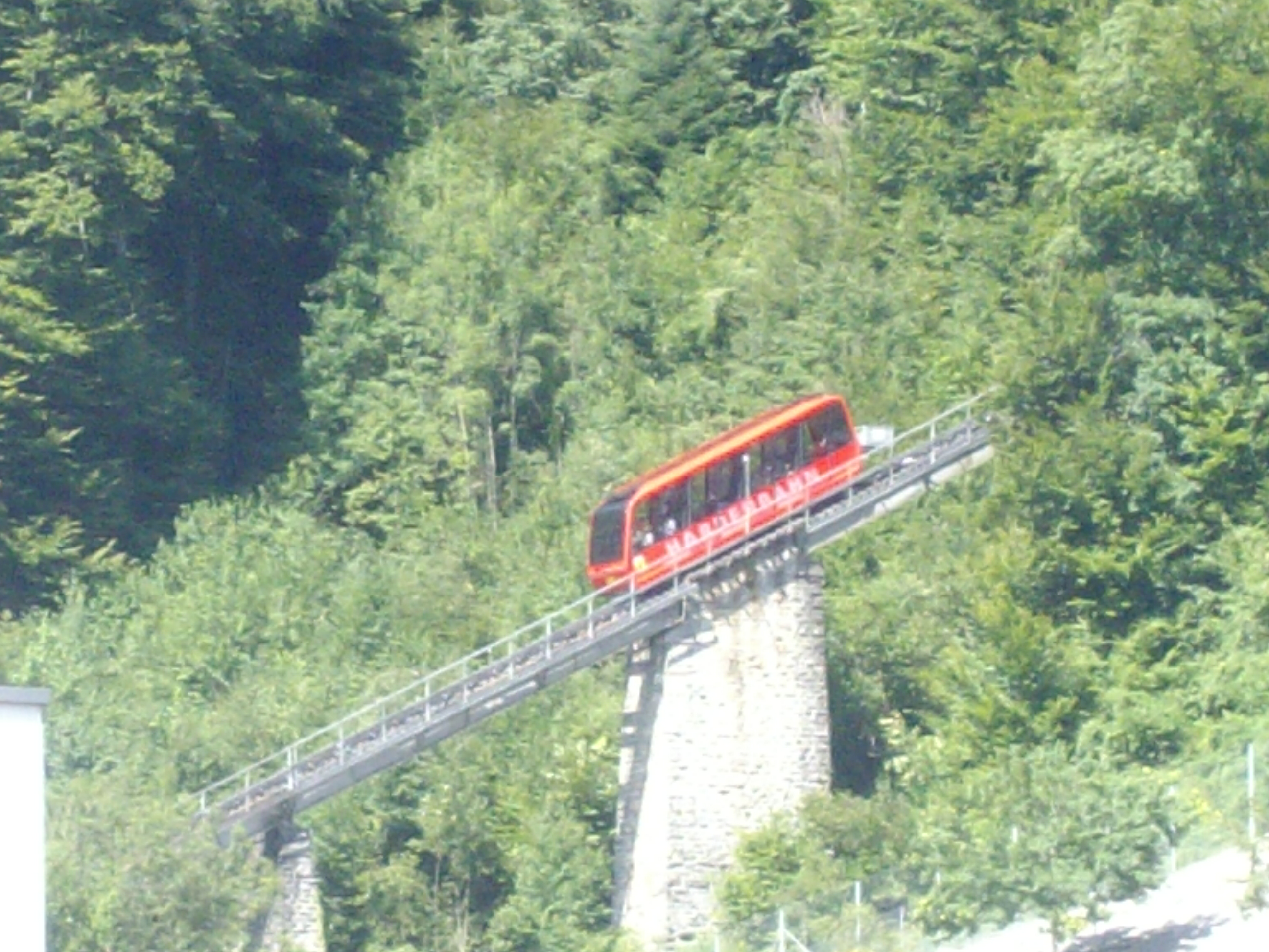 imgp6554.JPG