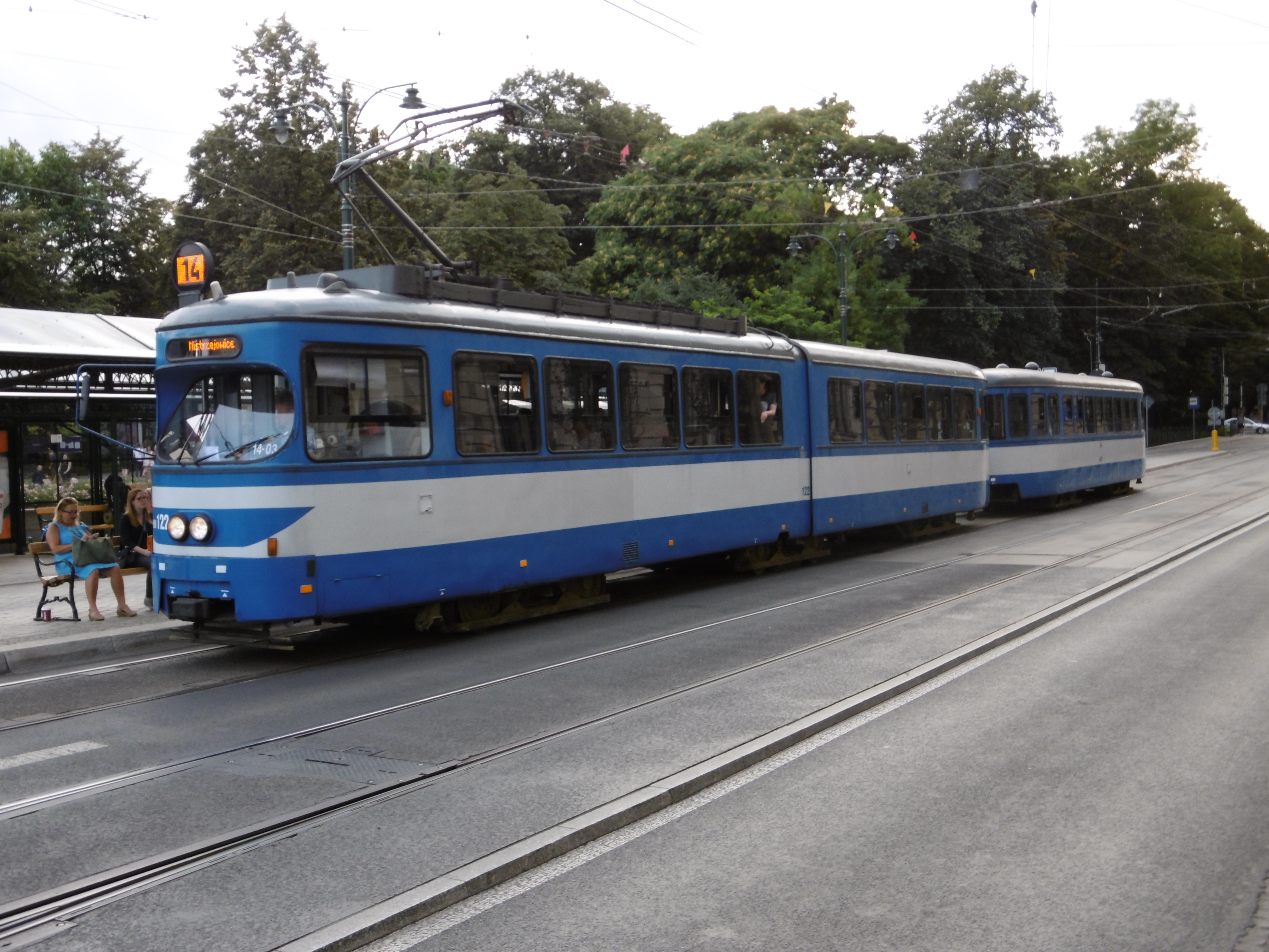 p1010156.JPG