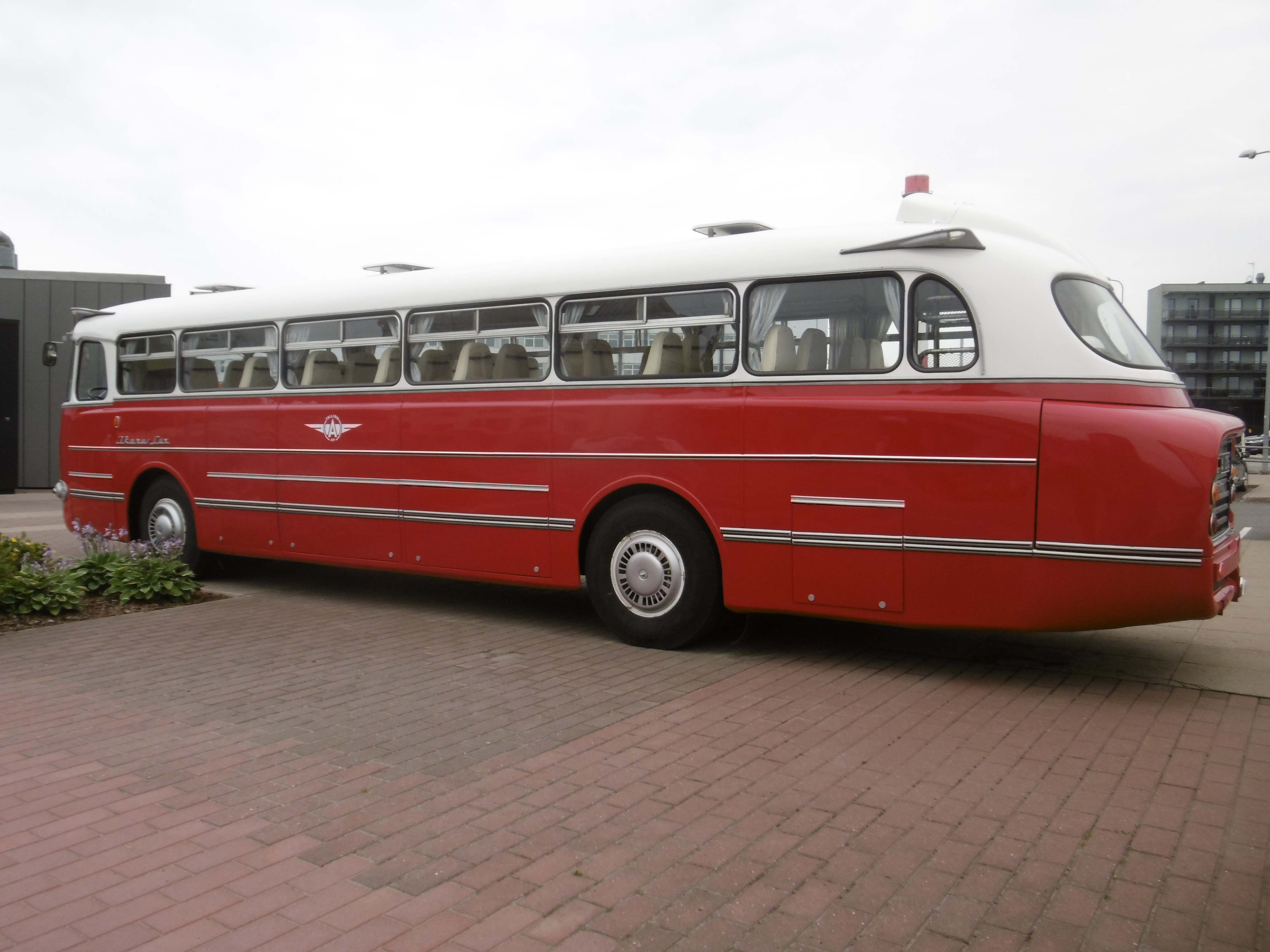 p1080837.JPG