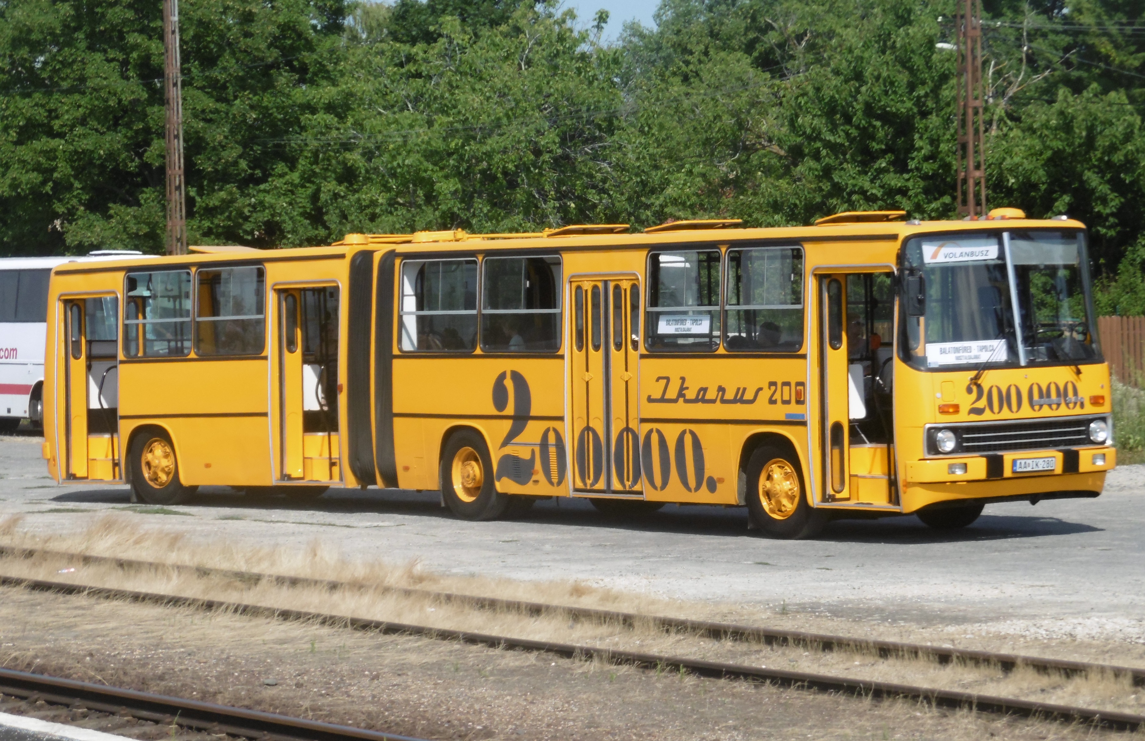 p1120110.JPG