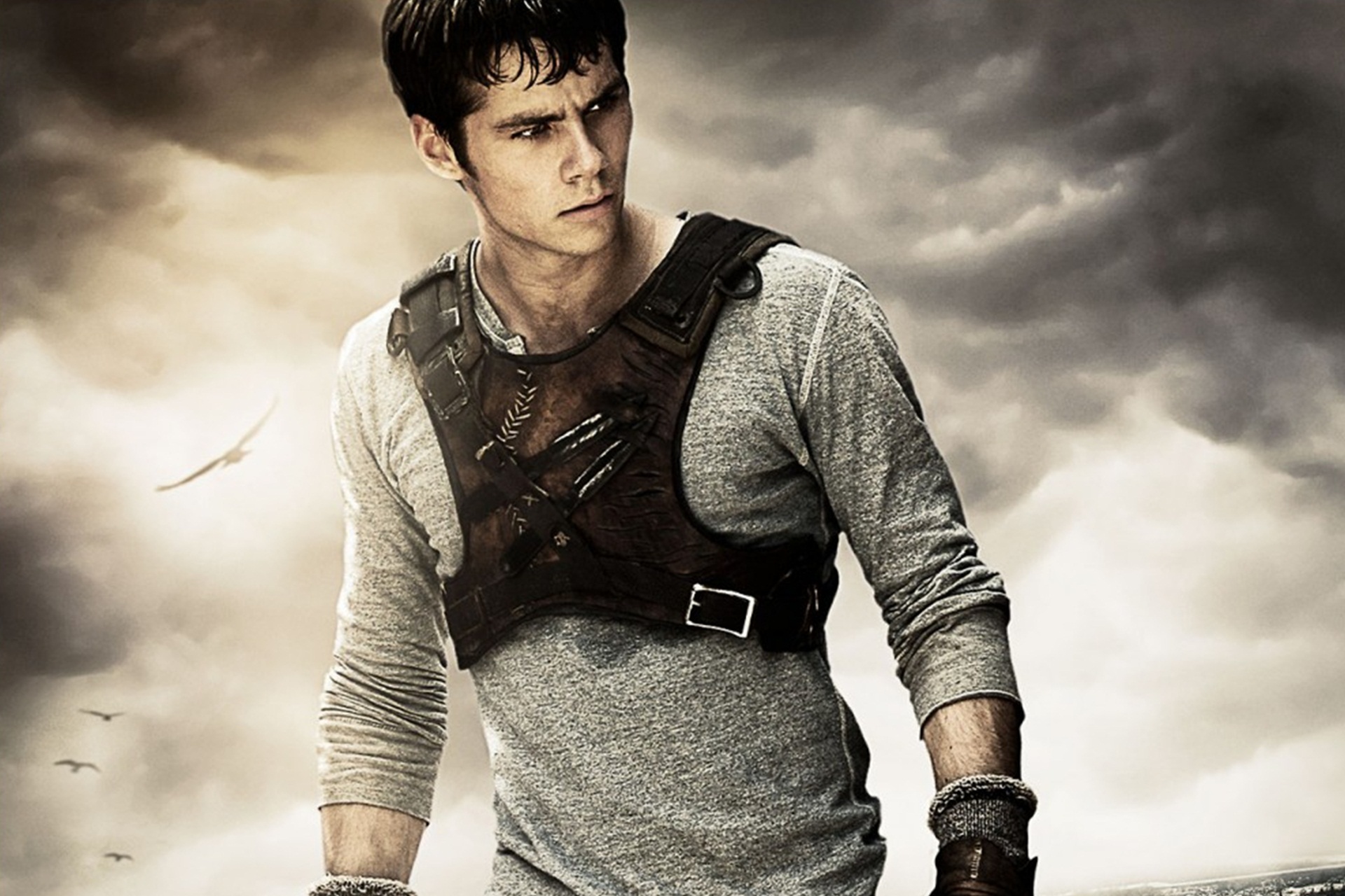 Thomas-The-Maze-Runner-Movie-2014-Wallpaper1.jpg