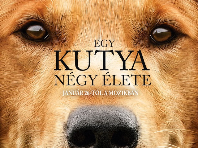 Egy kutya négy élete
