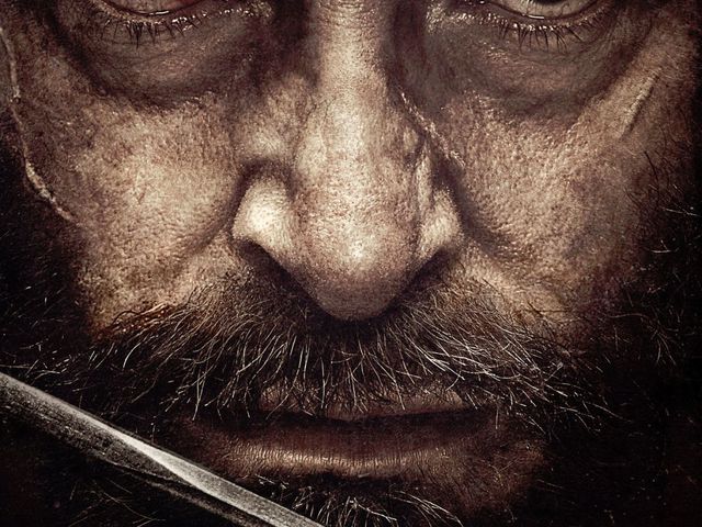 Logan - Farkas