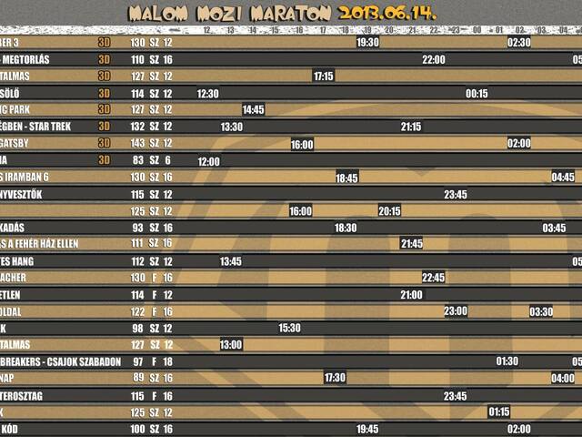 VIII. Malom Mozi Maraton (2013 - nyár)
