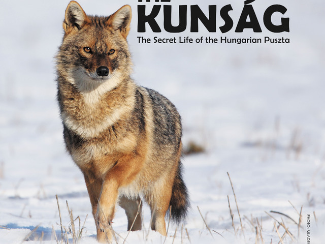 Vad Kunság – A Puszta rejtett élete (2016) – Ismét moziban!