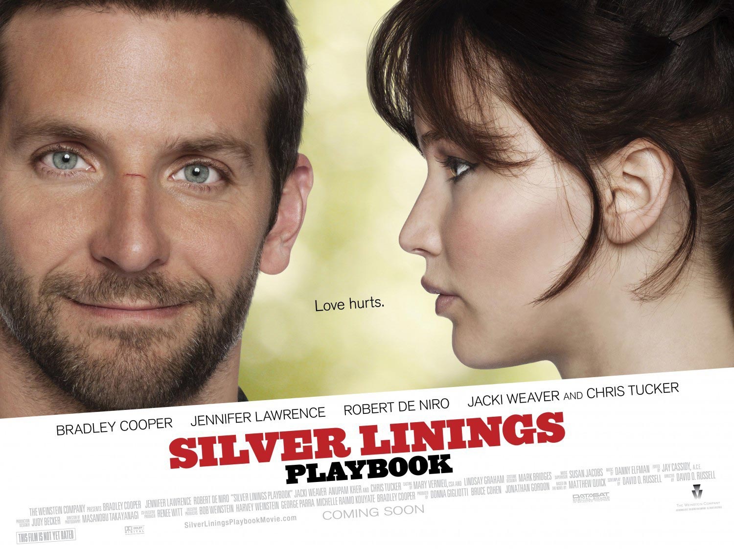 Silver-Linings-Playbook-poster.jpeg