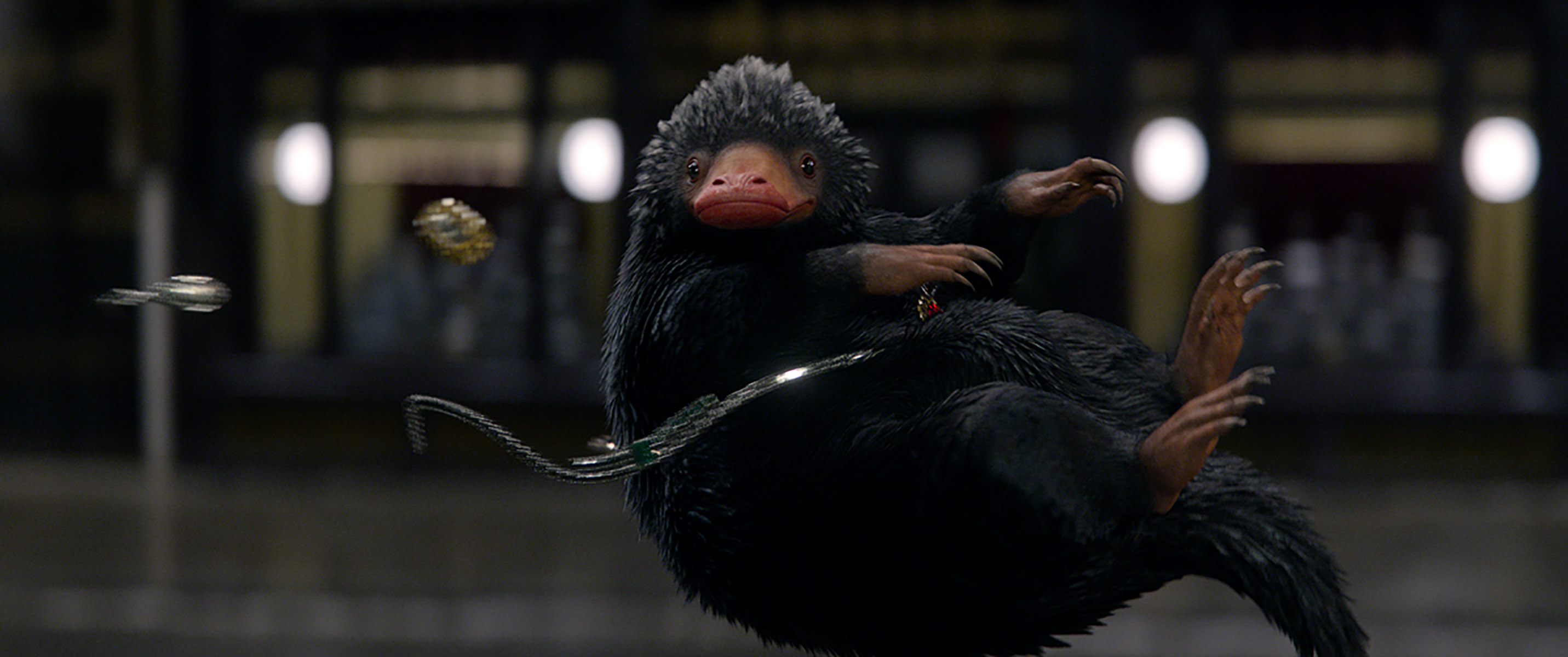 fantastic-beasts-and-where-to-find-them-niffler.jpg