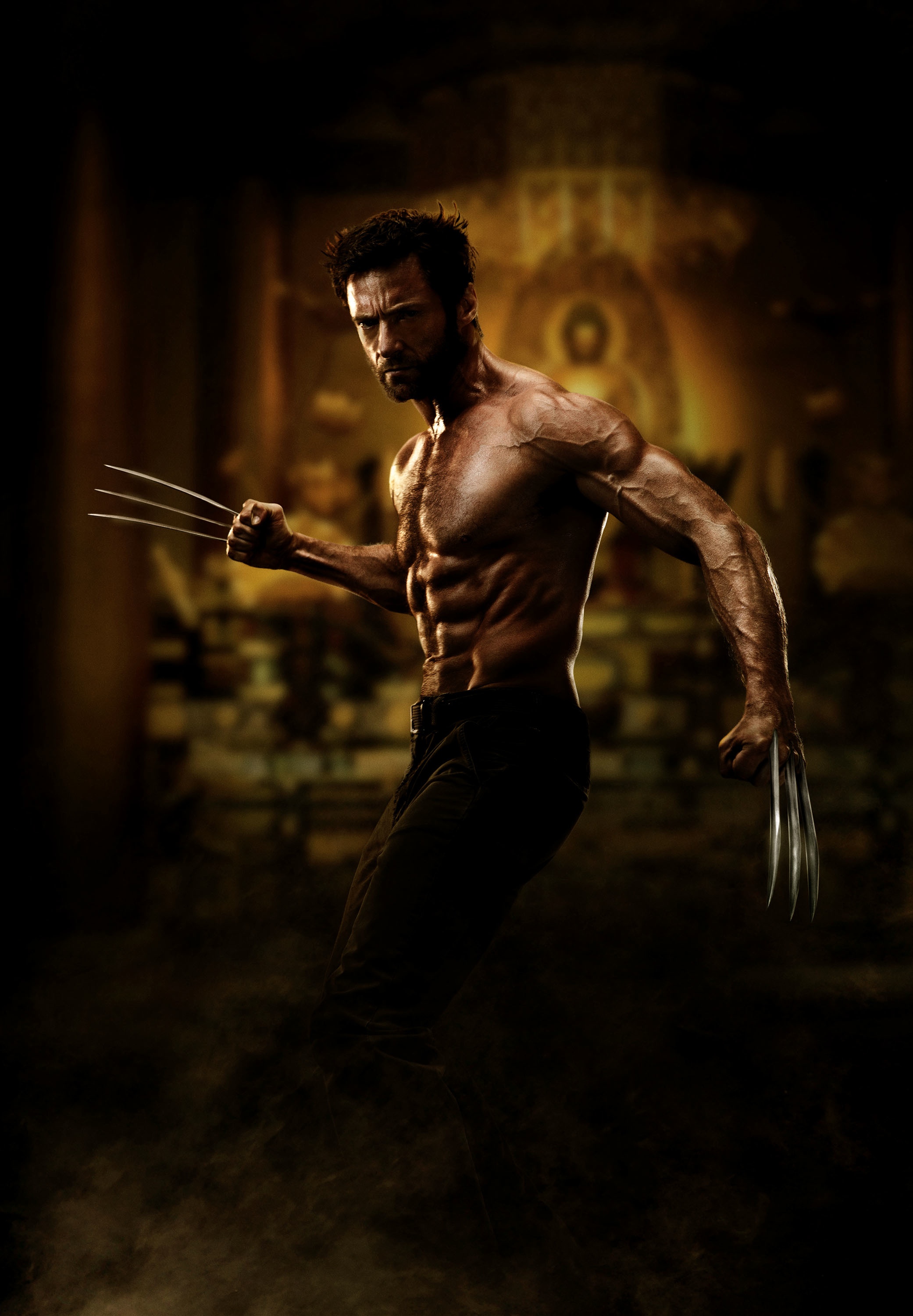 The Wolverine.jpg