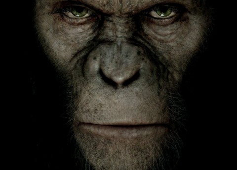 rise-of-the-planet-of-the-apes.jpg