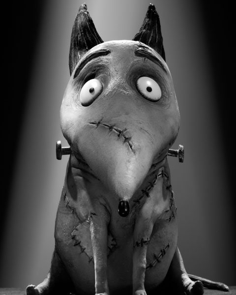 frankenweenie2.jpg