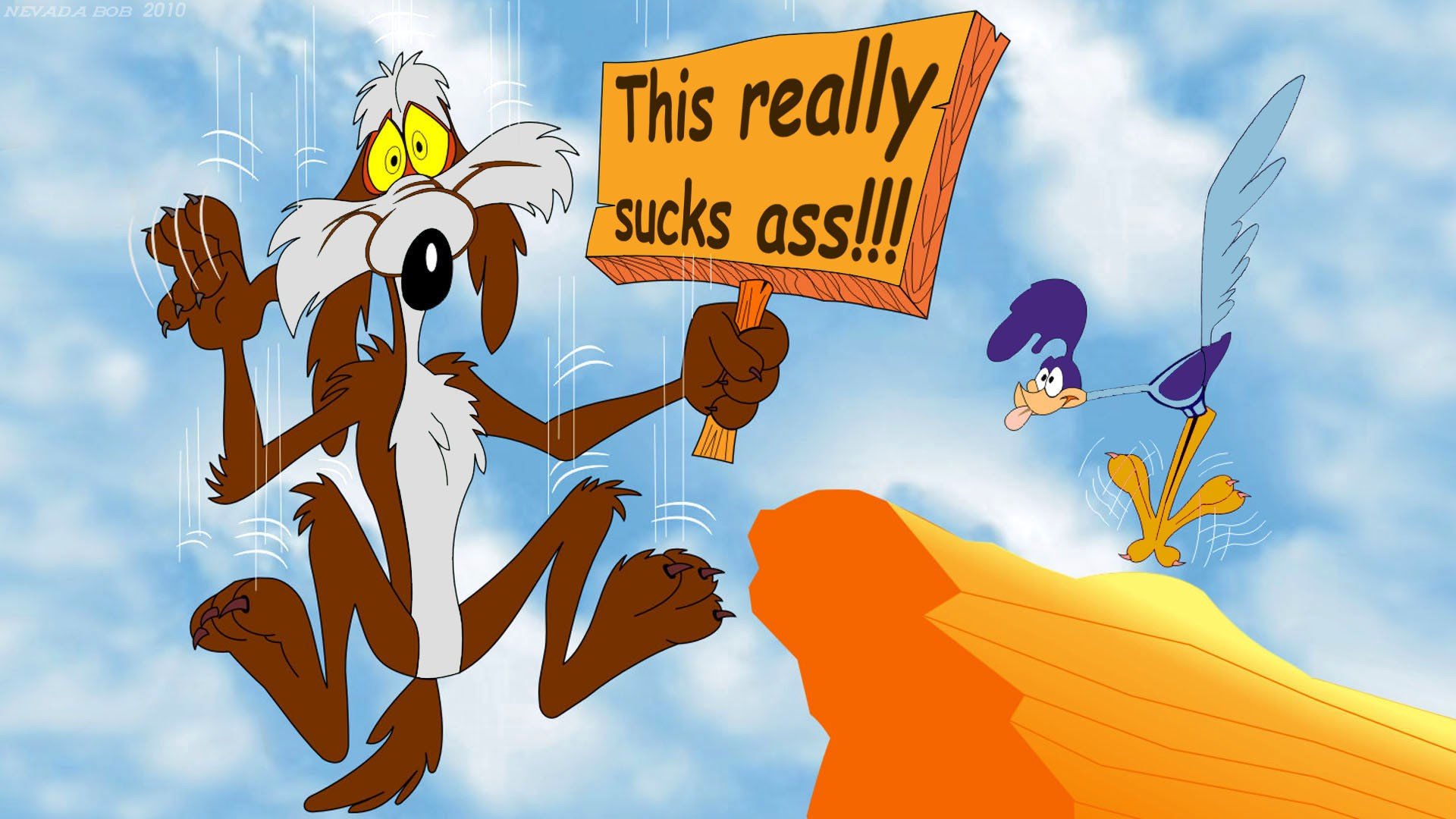 road-runner-show-looney-tunes-cartoons.jpg