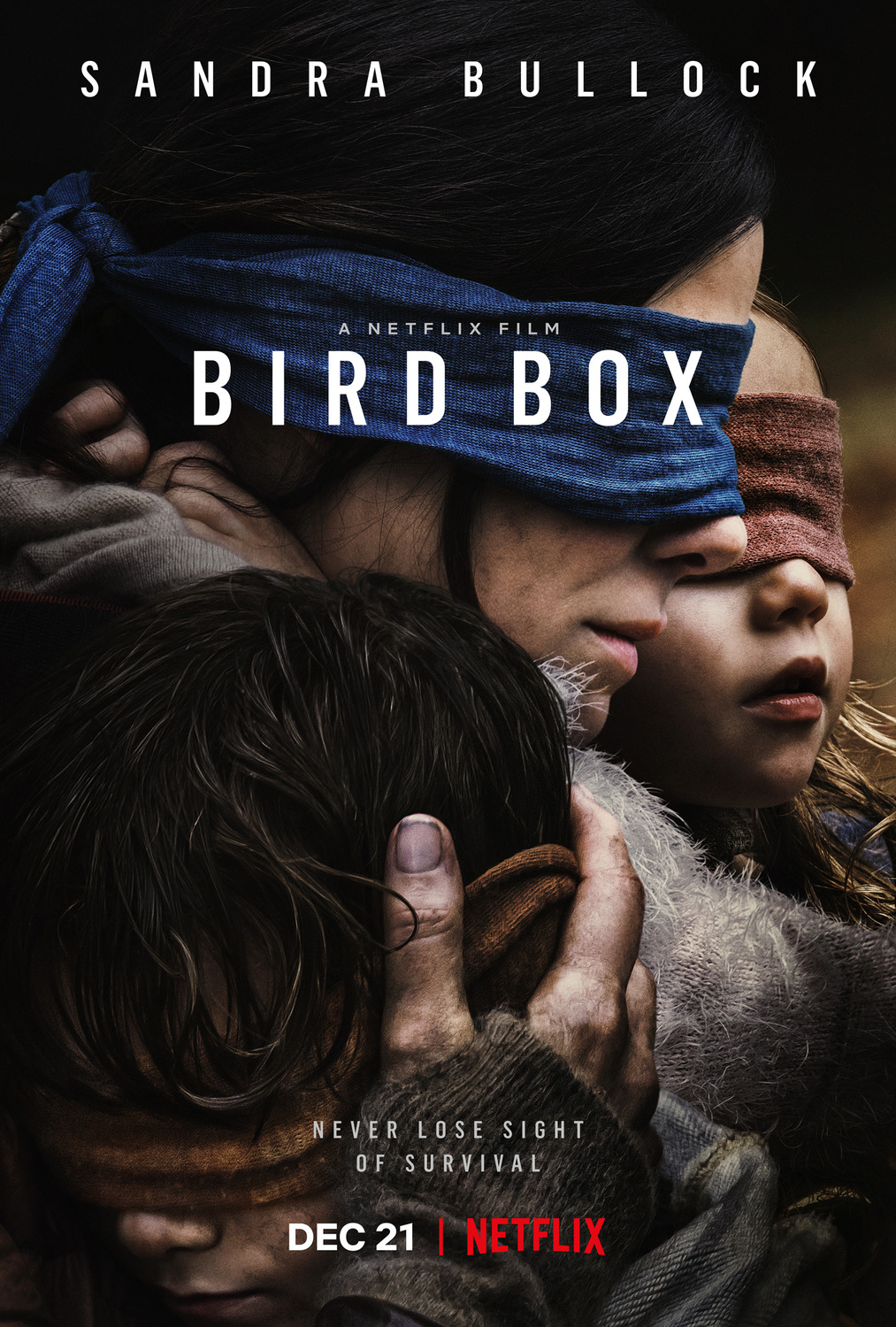 bird_box_xlg.jpg