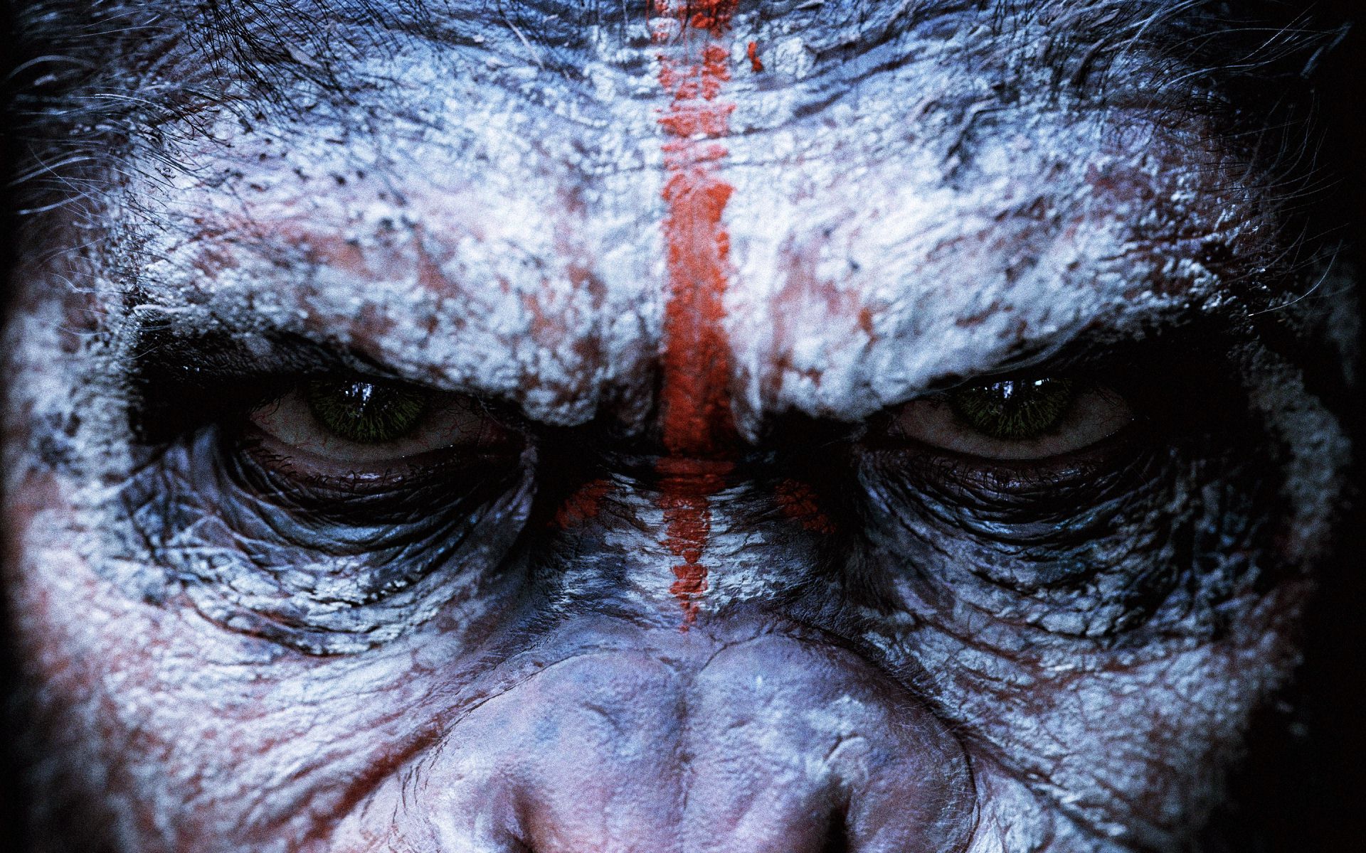 dawn-of-the-planet-of-the-apes-face-wallpaper-.jpg