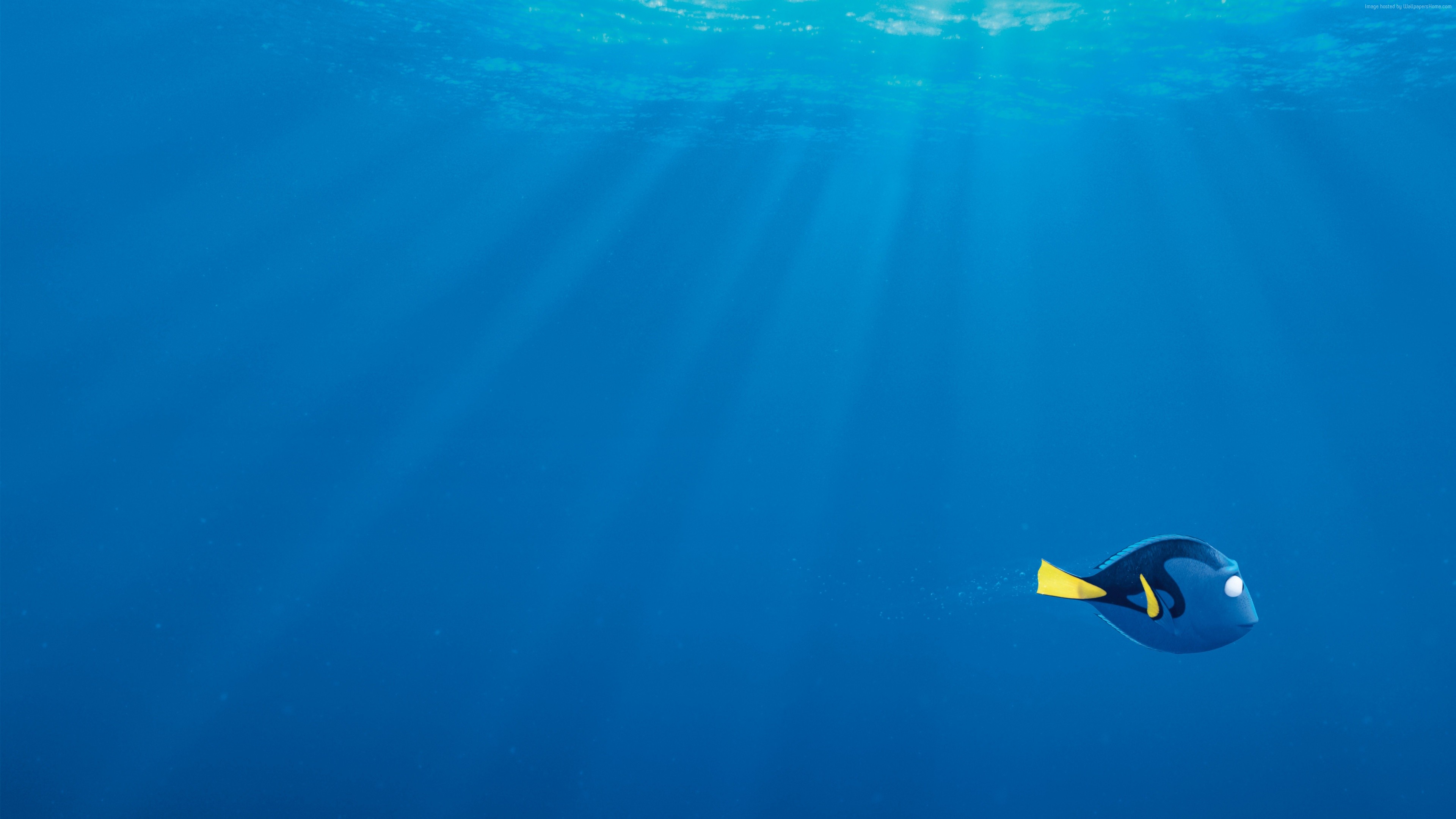 finding-dory-3840x2160-nemo-shark-fish-pixar-animation-10217.jpg