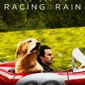 Ebgondolat / The Art of Racing in the Rain