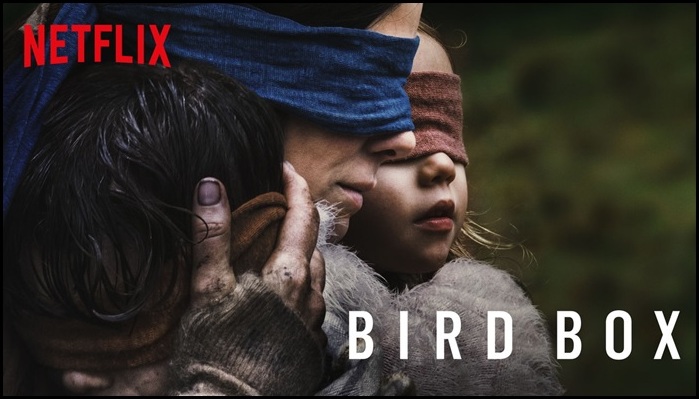 bird_box.jpg