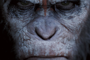 Majmok bolygója - Forradalom szinkronos előzetes (Dawn of the Planet of the Apes)