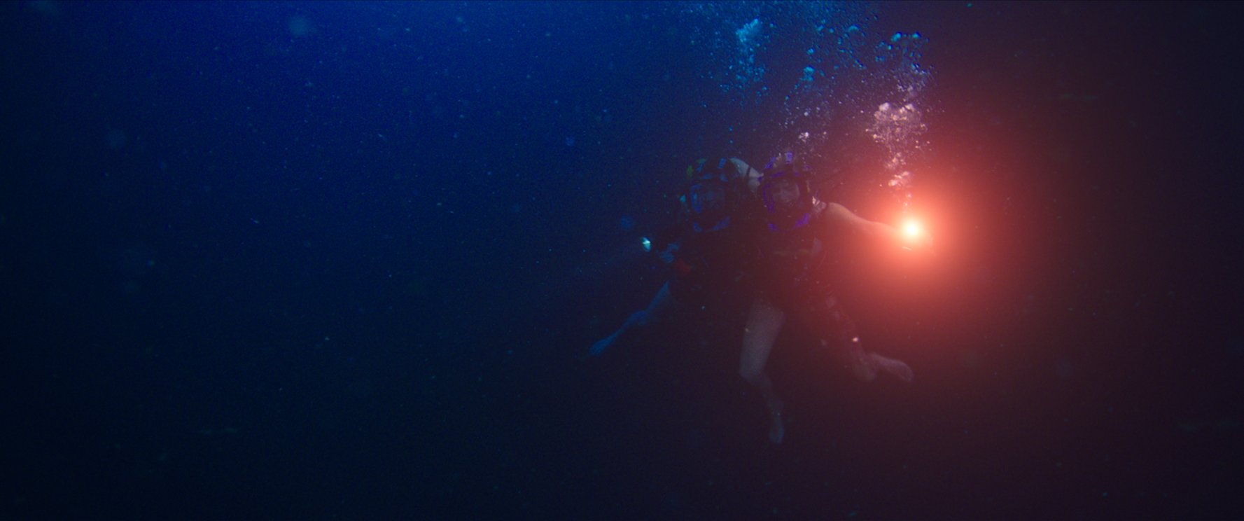 47-meters-down2.jpg