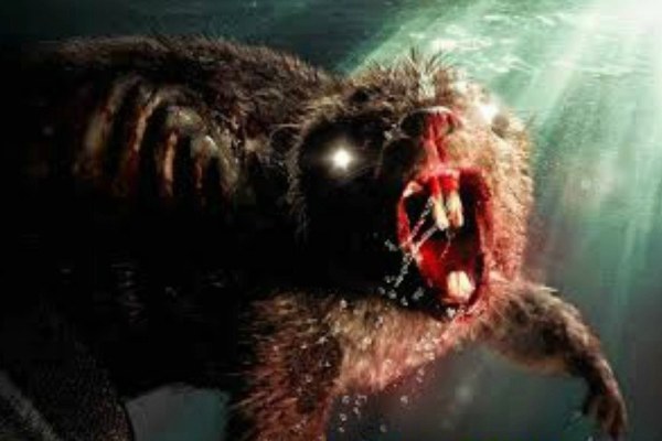 Zombie-beavers-movie.jpg