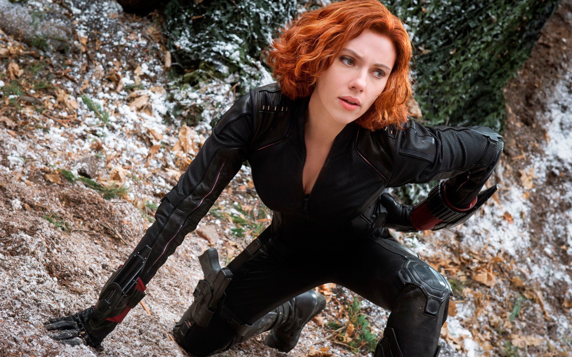 black-widow.jpg