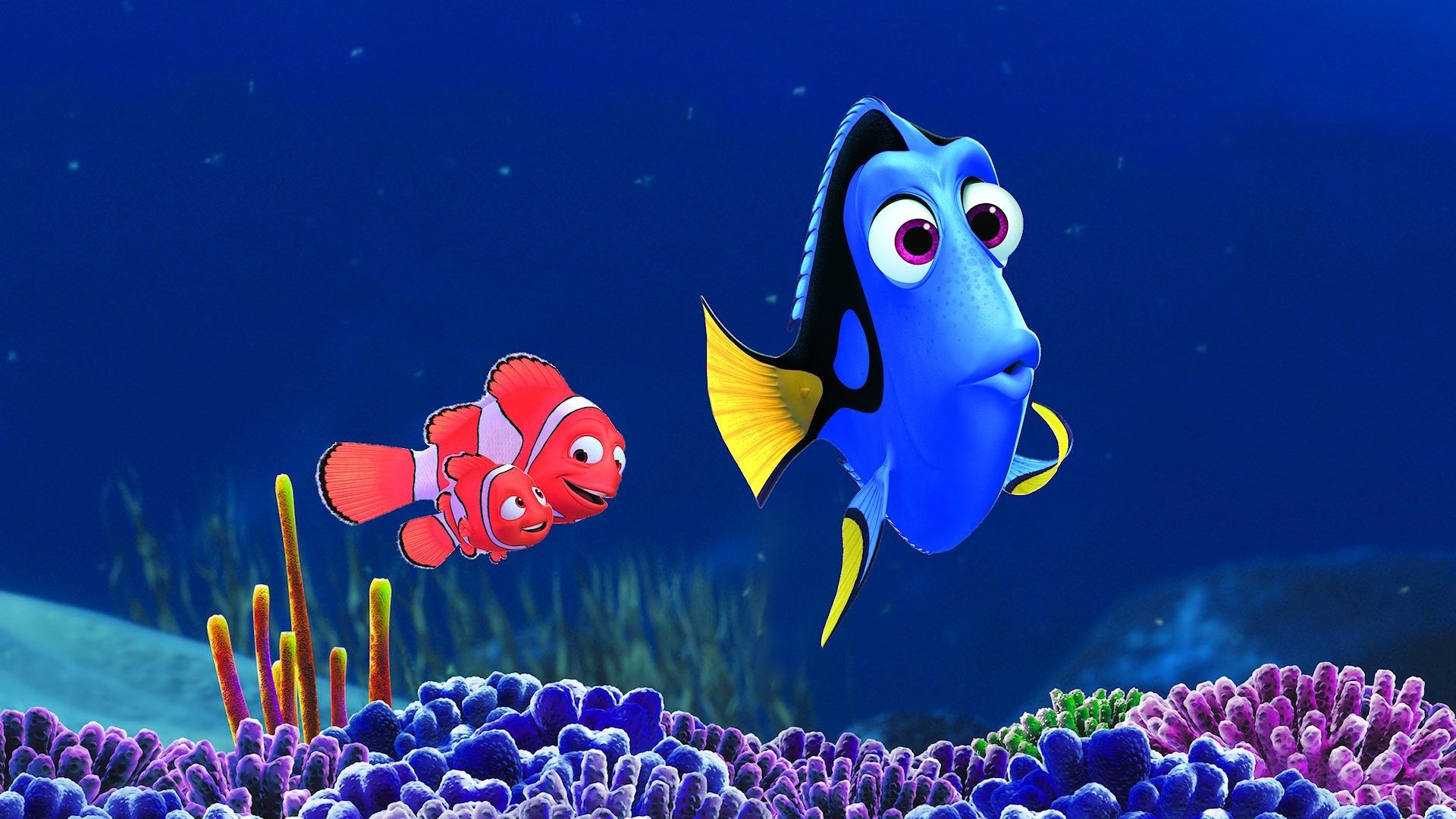 new-finding-dory-picture-reveals-this-character-s-surprising-return-624722.jpg